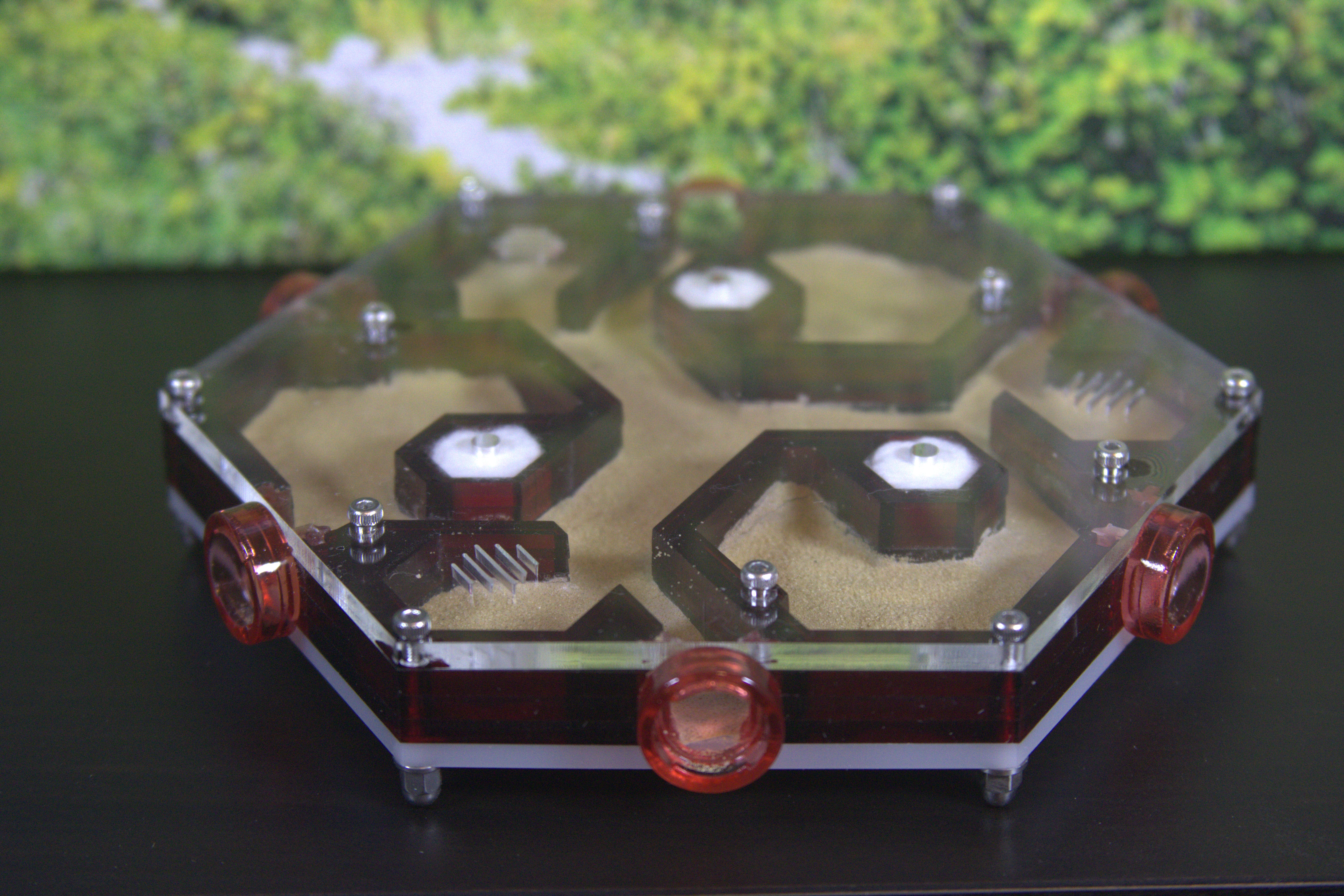 HexNest Hex Ant Formicarium | HexNest