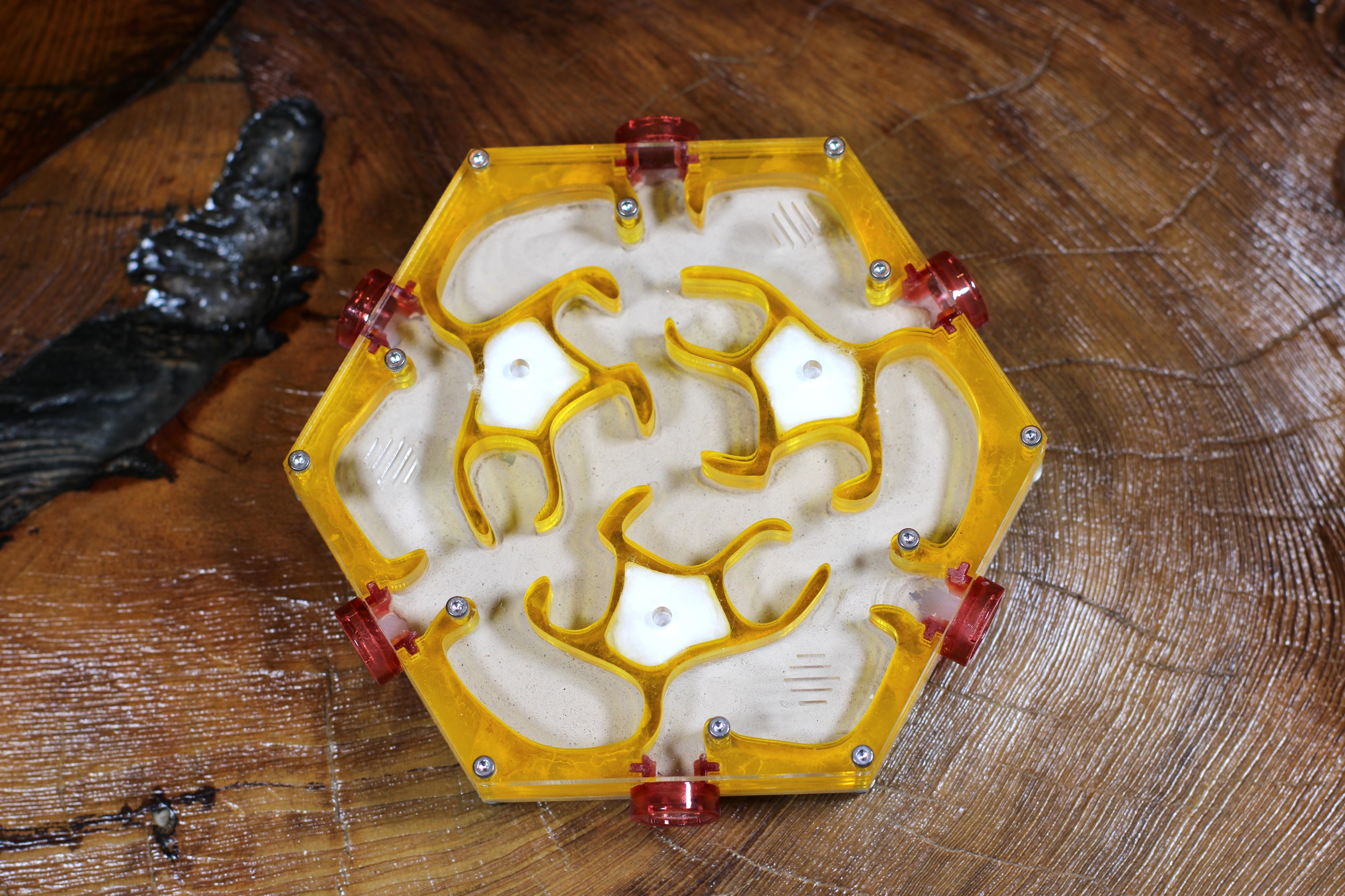 HexNest Branch Yellow Formicarium Ant Nest | HexNest