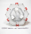 HexNest Formicarium Ant Nest White